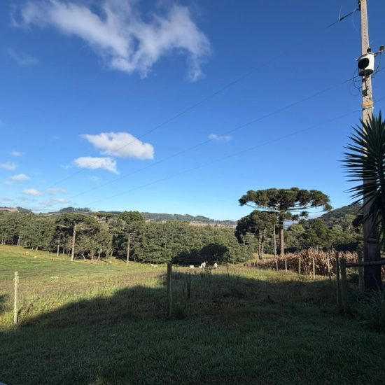 0f09acb0-3510-4f8e-b499-95ecae5361e6