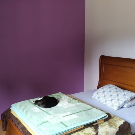 163171067365whatsapp-image-2021-09-15-at-09-06-24-8-jpg_t