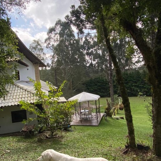 169334078225whatsapp-image-2023-08-29-at-17-24-17-5-jpg_t