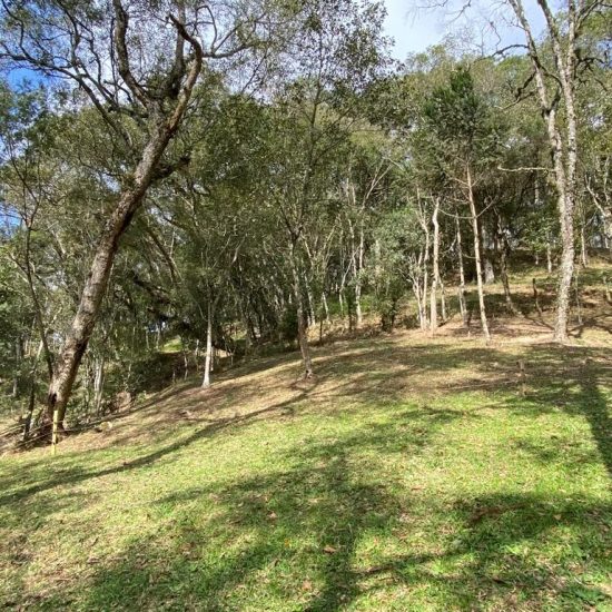 169334078429whatsapp-image-2023-08-29-at-17-21-49-12-jpg_t