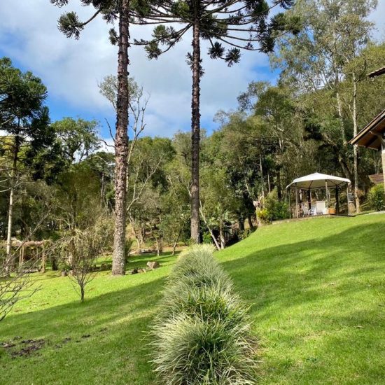 169334078636whatsapp-image-2023-08-29-at-17-21-48-10-jpg_t