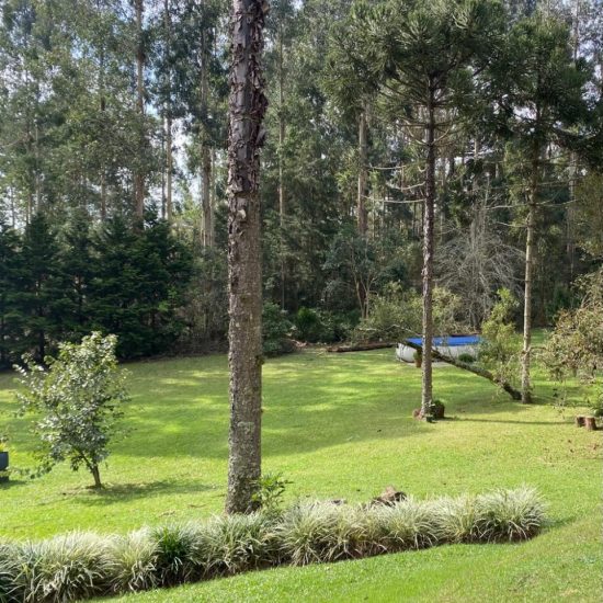 169334078642whatsapp-image-2023-08-29-at-17-21-49-2-jpg_t