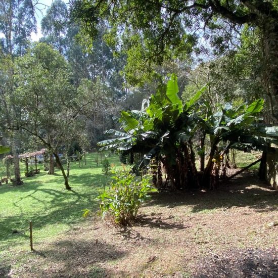 169334078660whatsapp-image-2023-08-29-at-17-21-49-16-jpg_t