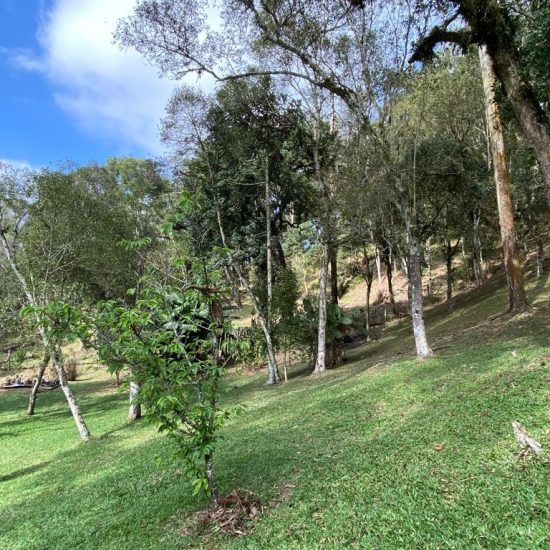 169334078667whatsapp-image-2023-08-29-at-17-21-49-5-jpg_t