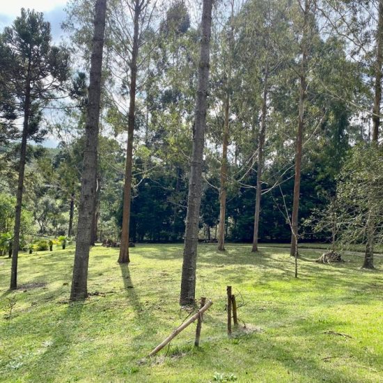 169334078673whatsapp-image-2023-08-29-at-17-21-48-5-jpg_t