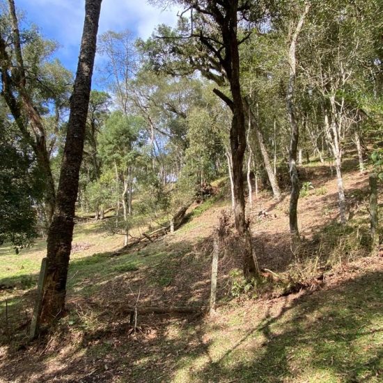 169334078679whatsapp-image-2023-08-29-at-17-21-49-15-jpg_t