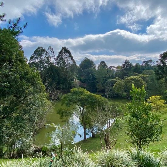 169334078685whatsapp-image-2023-08-29-at-17-24-17-8-jpg_t