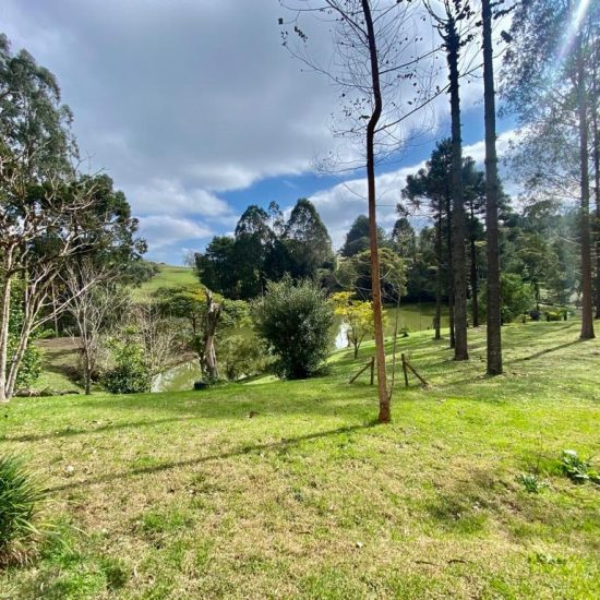 169334078691whatsapp-image-2023-08-29-at-17-21-48-jpg_t