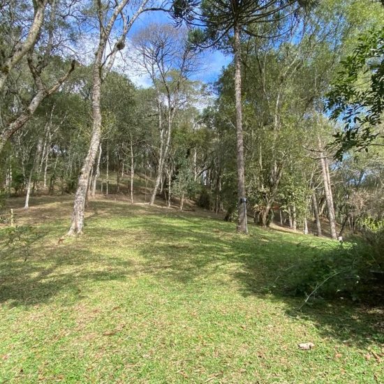 169334078697whatsapp-image-2023-08-29-at-17-21-49-7-jpg_t