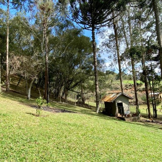 169334078703whatsapp-image-2023-08-29-at-17-21-49-8-jpg_t