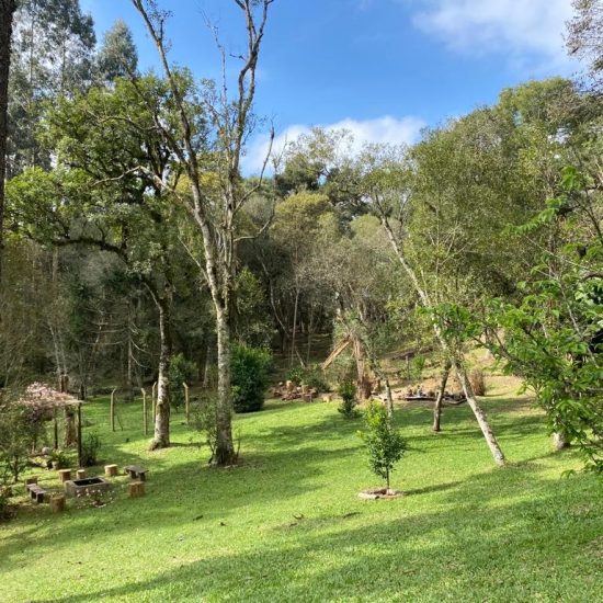 169334078862whatsapp-image-2023-08-29-at-17-21-49-3-jpg_t