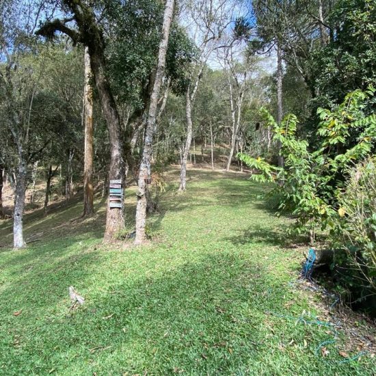 169334078868whatsapp-image-2023-08-29-at-17-21-49-4-jpg_t