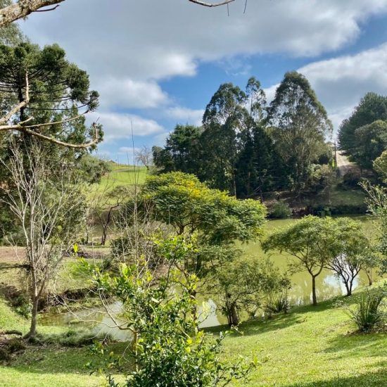 169334078899whatsapp-image-2023-08-29-at-17-21-48-3-jpg_t