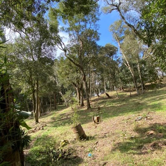 169334078916whatsapp-image-2023-08-29-at-17-21-49-17-jpg_t