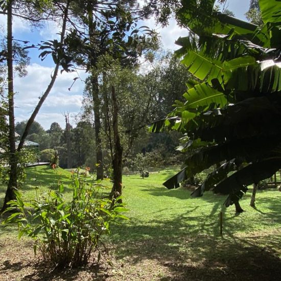 169334078923whatsapp-image-2023-08-29-at-17-24-17-2-jpg_t