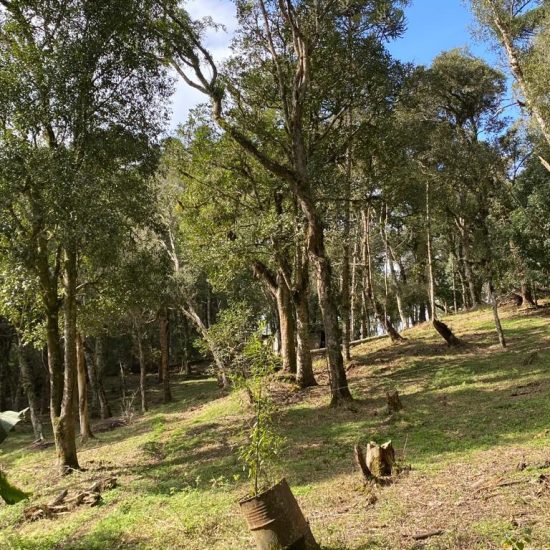 169334078929whatsapp-image-2023-08-29-at-17-24-17-jpg_t