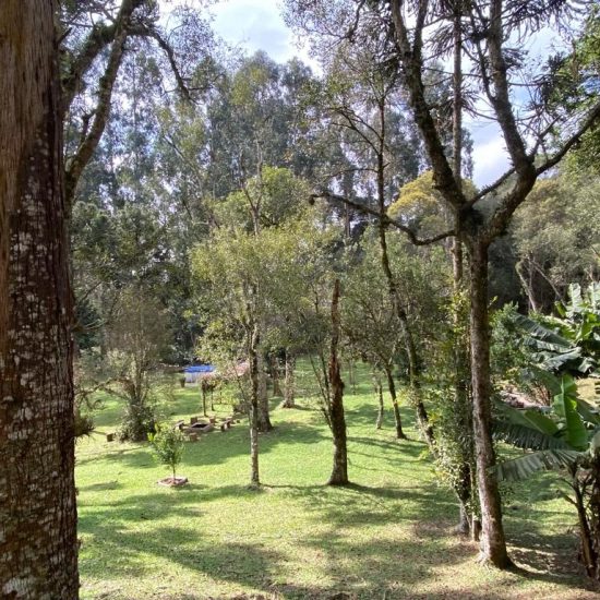 169334079026whatsapp-image-2023-08-29-at-17-21-49-14-jpg_t