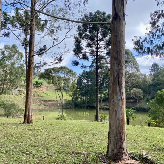 169334079051whatsapp-image-2023-08-29-at-17-24-17-11-jpg_t