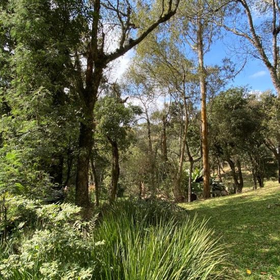 169334079057whatsapp-image-2023-08-29-at-17-21-49-9-jpg_t