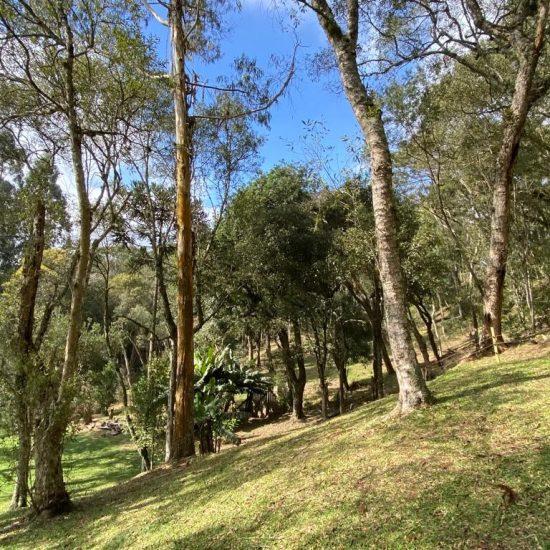 169334079063whatsapp-image-2023-08-29-at-17-21-49-11-jpg_t