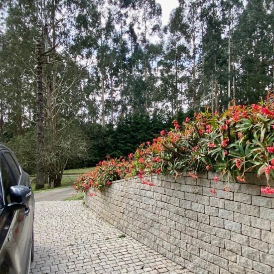 169334079069whatsapp-image-2023-08-29-at-17-24-17-9-jpg_t