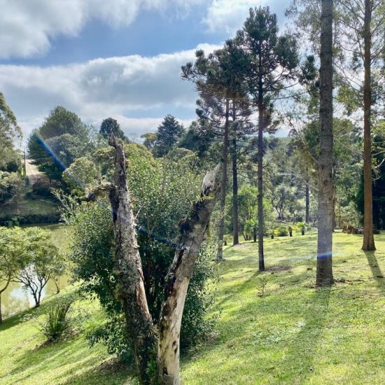 169334079075whatsapp-image-2023-08-29-at-17-21-48-4-jpg_t