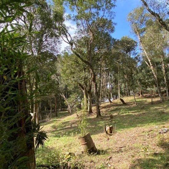 169334079091whatsapp-image-2023-08-29-at-17-24-17-1-jpg_t