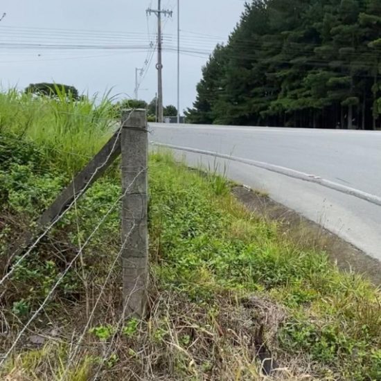 173532241875t882-1-jpg_t