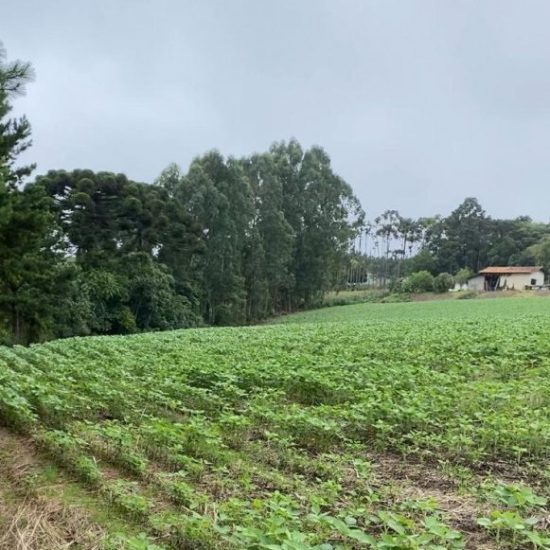 173532241937t882-4-jpg_t