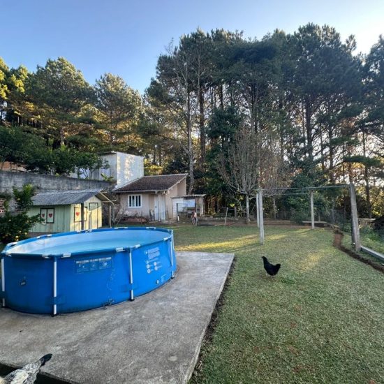 174888397527c1176-06-jpg_t