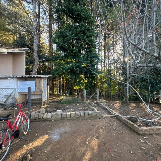 174888397860c1176-04-jpg_t