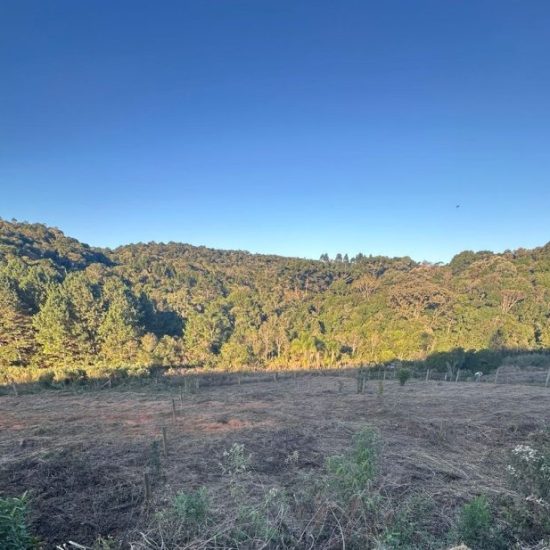 175130827858t959-01-jpg_t