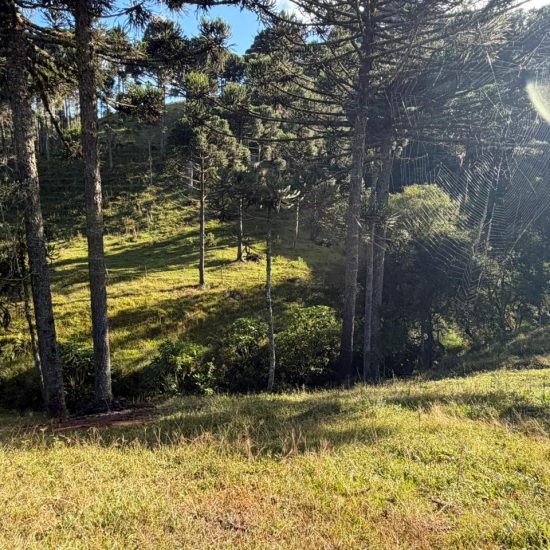 387f2119-43e3-4ccd-9dfd-06f109311825