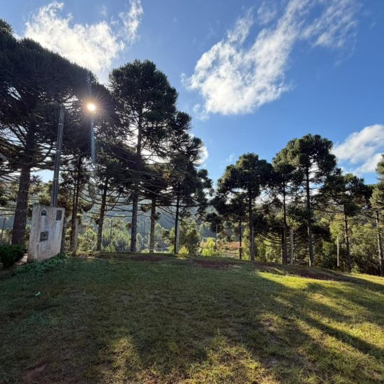 4b3c2c6e-4985-4607-ad7f-6cefe170a157