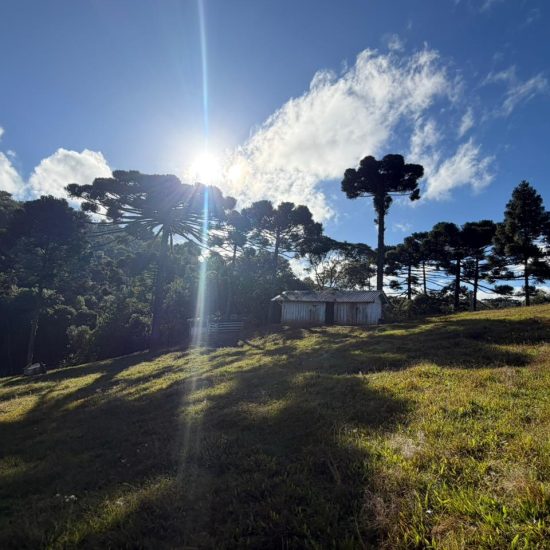 5815fe35-7968-471a-bb78-c86f859b615b