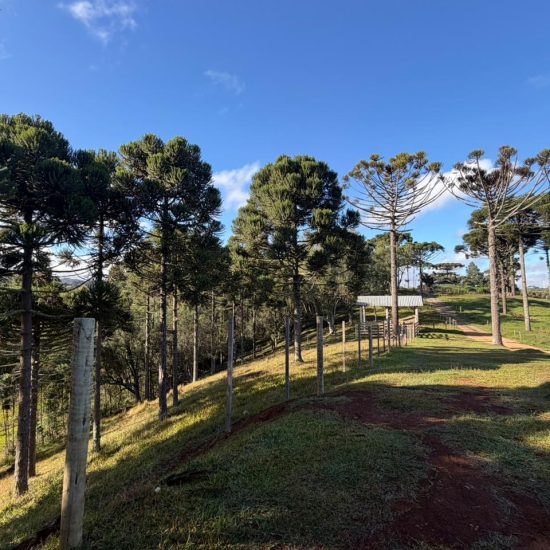 5af0b9e3-5cc1-4e32-8c44-78f69cee3937