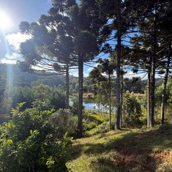 6a3f7f39-8216-4f96-8476-6a4fb024f74c