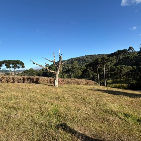 77ad5077-e3d1-41a8-b4bf-d9b6d129f55b