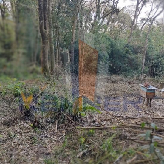 T980 01