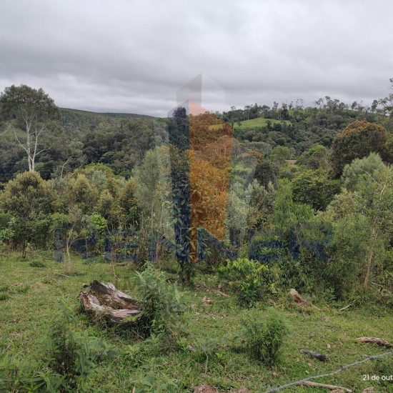 T989 13