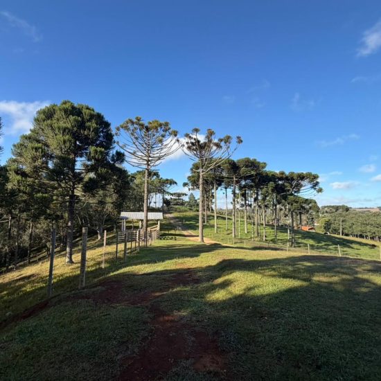 be9e5ffb-e68f-4eea-bb73-754c6ad0dae7