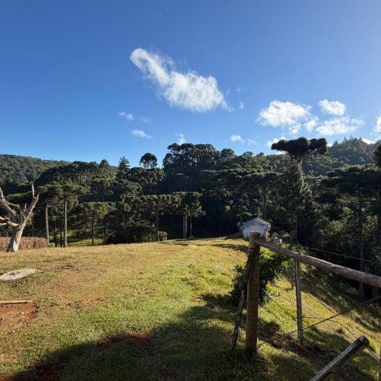 fe21d598-15f7-4143-9bec-a6e02d05466d